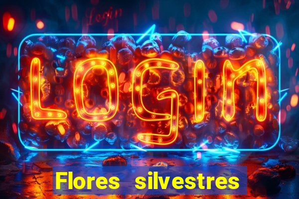 Flores silvestres brasileiras brasileiras flores silvestres nomes e imagens